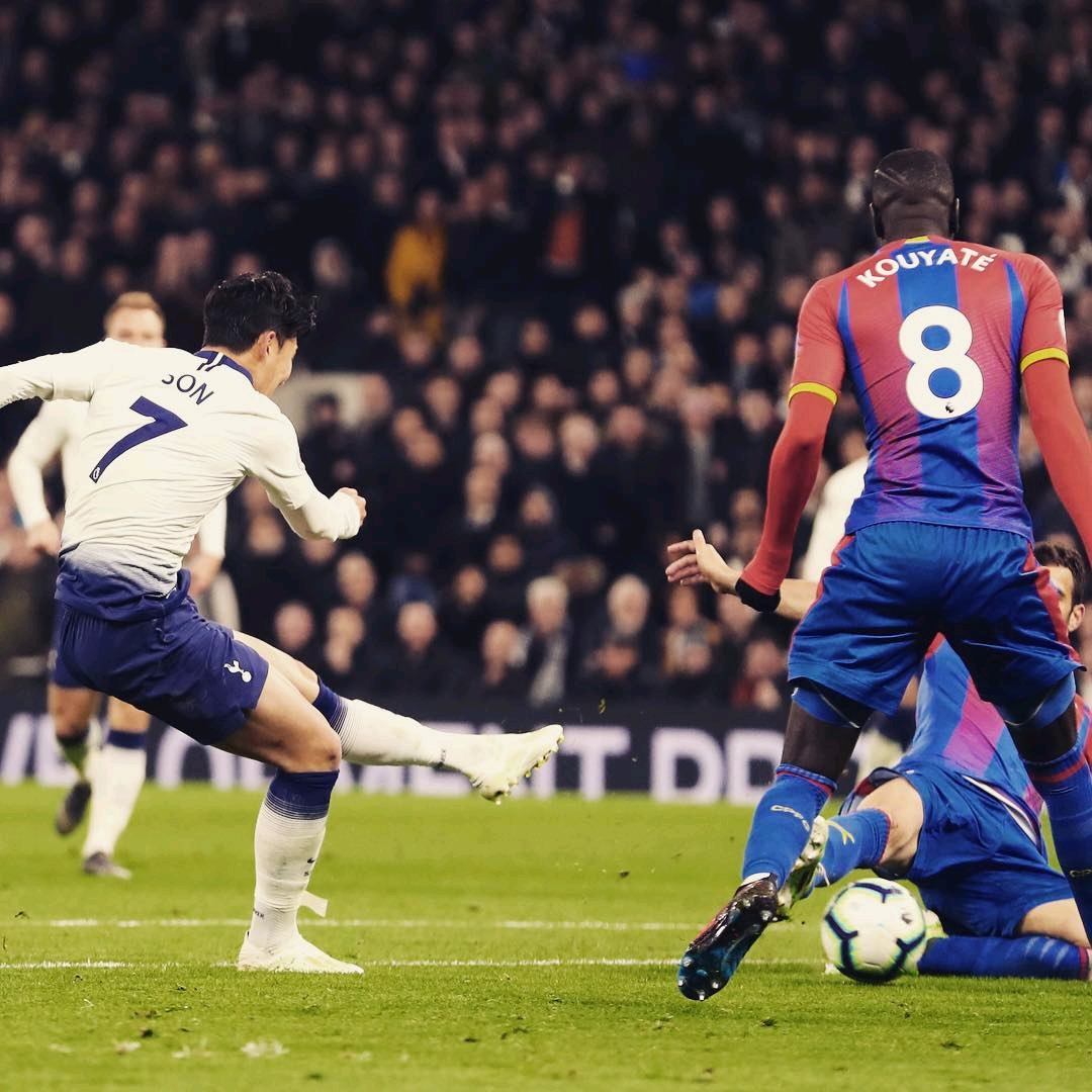 他以娴熟的 他以娴熟的