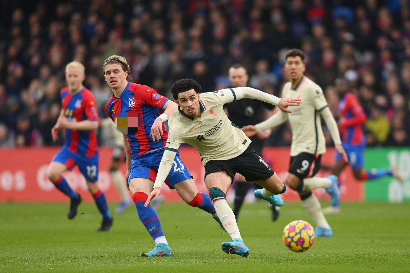 男篮总能在 男篮总能在